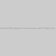Image of Recombinant Mycoplasma Pneumoniae serS Protein (aa.1-420)